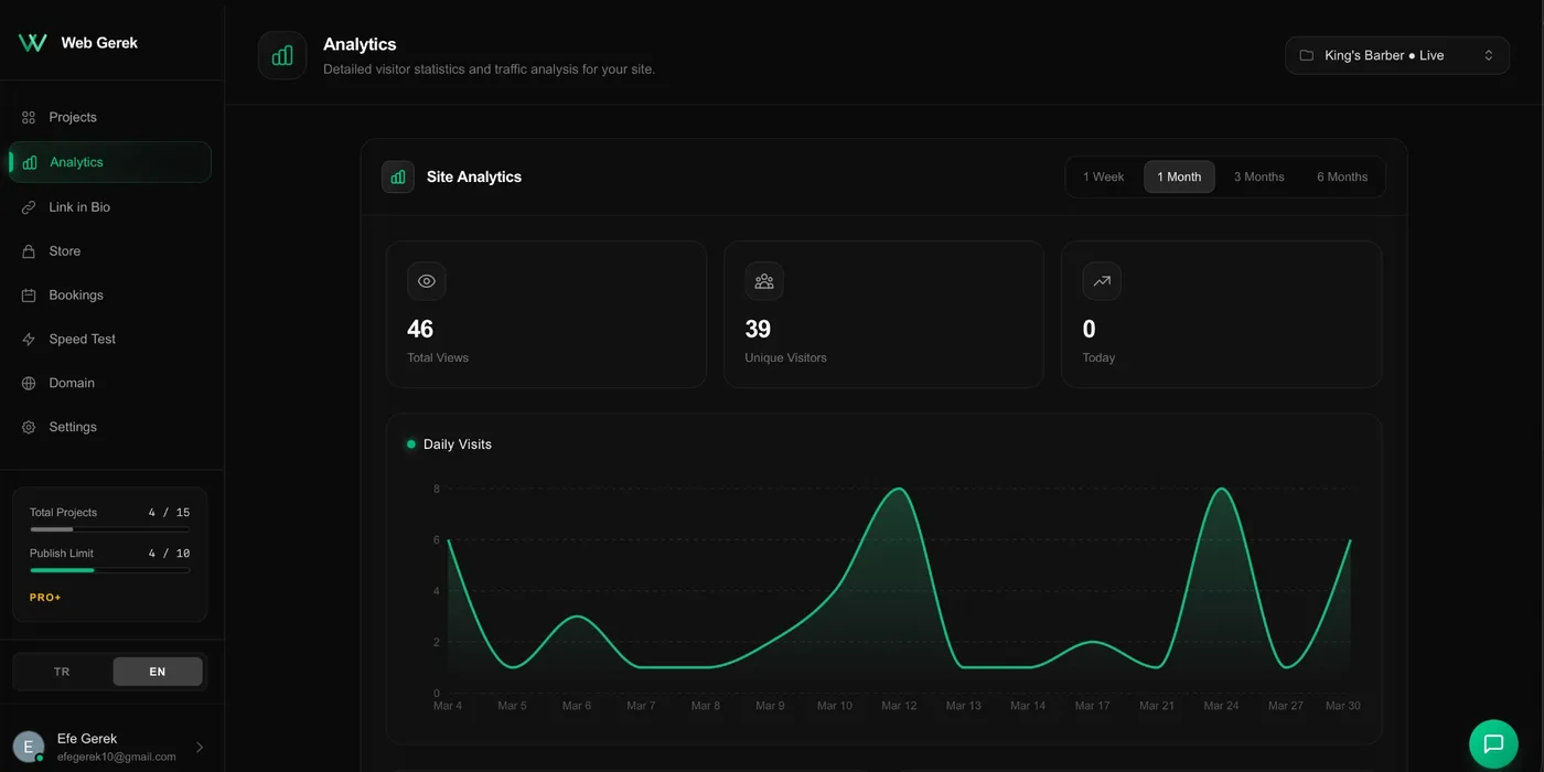 Web Gerek analitik paneli — ziyaretçi istatistikleri ve trafik grafiği